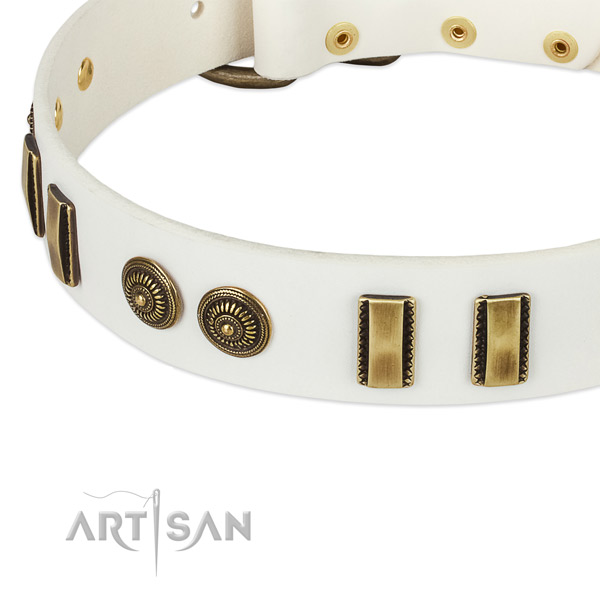 Strong traditional buckle on genuine leather dog collar for your canine