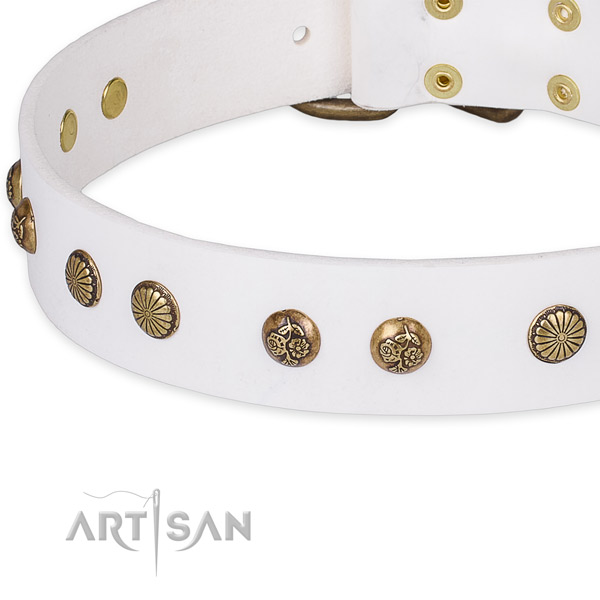Natural genuine leather collar with rust resistant D-ring for your handsome dog