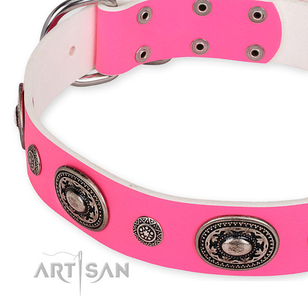 Natural genuine leather dog collar with designer strong embellishments