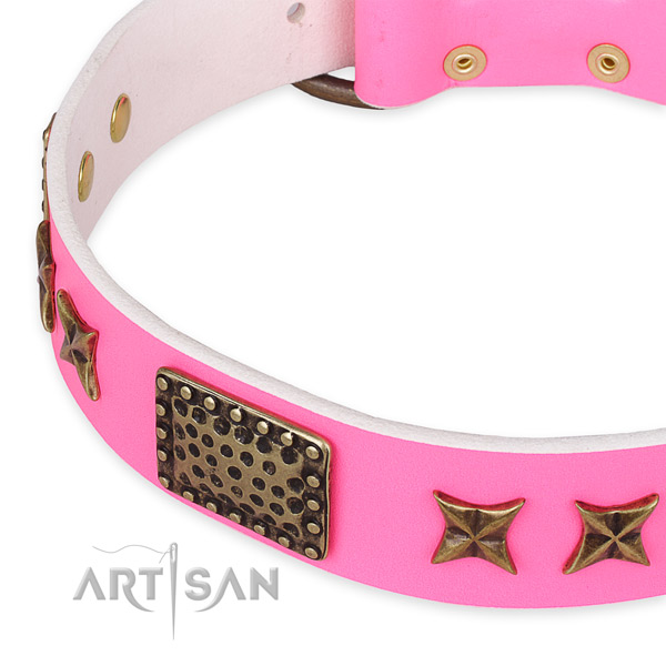 Full grain genuine leather collar with rust-proof hardware for your beautiful dog
