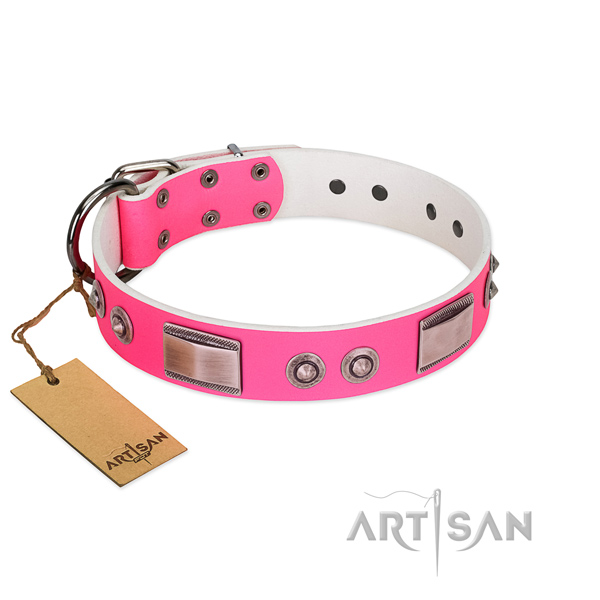 Comfortable full grain leather collar with decorations for your canine