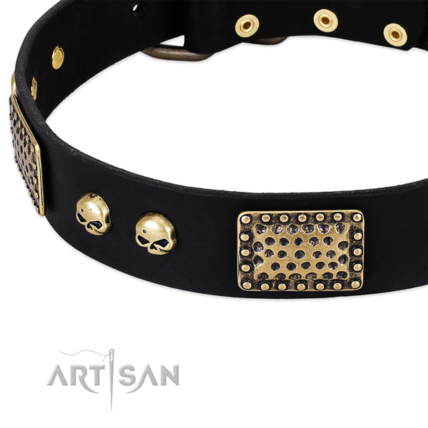 Rust resistant decorations on natural genuine leather dog collar for your pet
