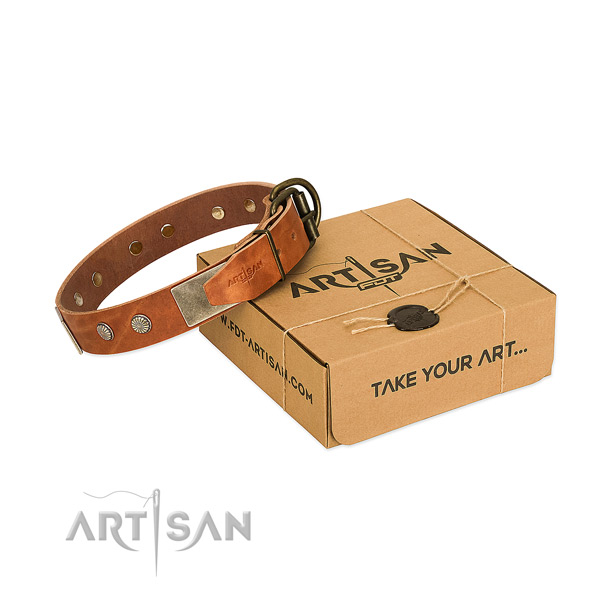 Durable fittings on dog collar for easy wearing