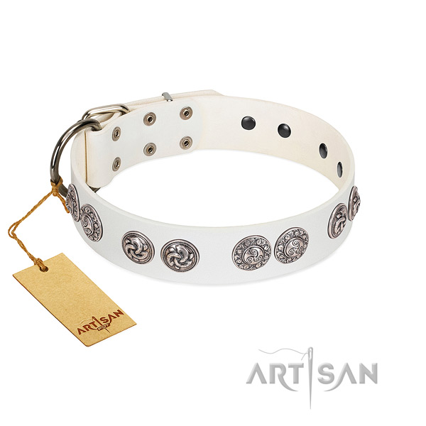 Extraordinary full grain genuine leather collar for your pet everyday walking