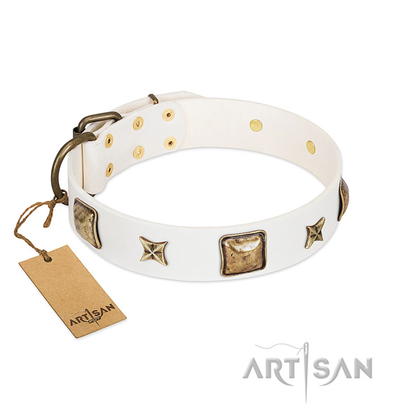 Trendy natural genuine leather dog collar for walking