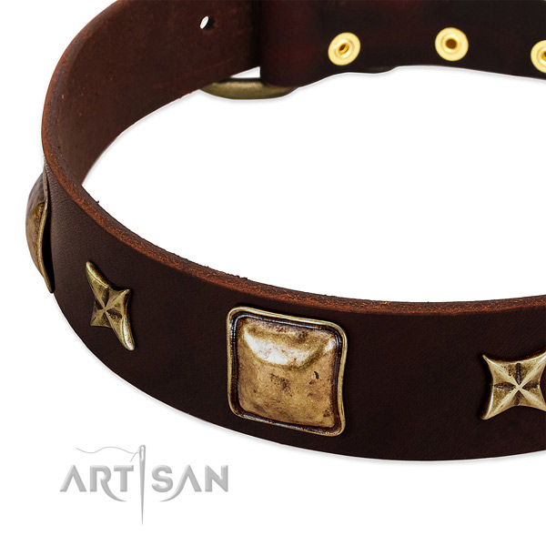 Rust resistant buckle on full grain leather dog collar for your four-legged friend