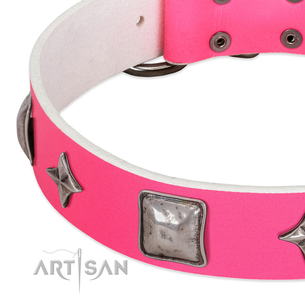 Impressive full grain natural leather dog collar with strong adornments