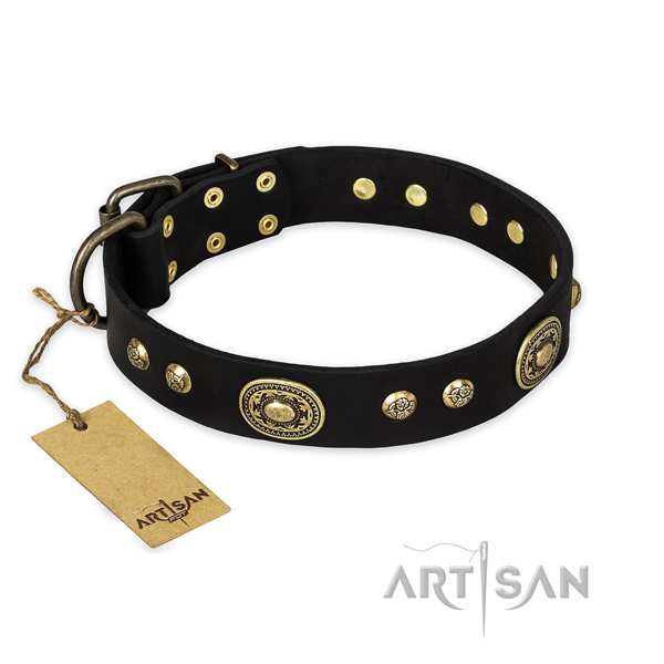 Amazing full grain genuine leather dog collar with corrosion proof traditional buckle