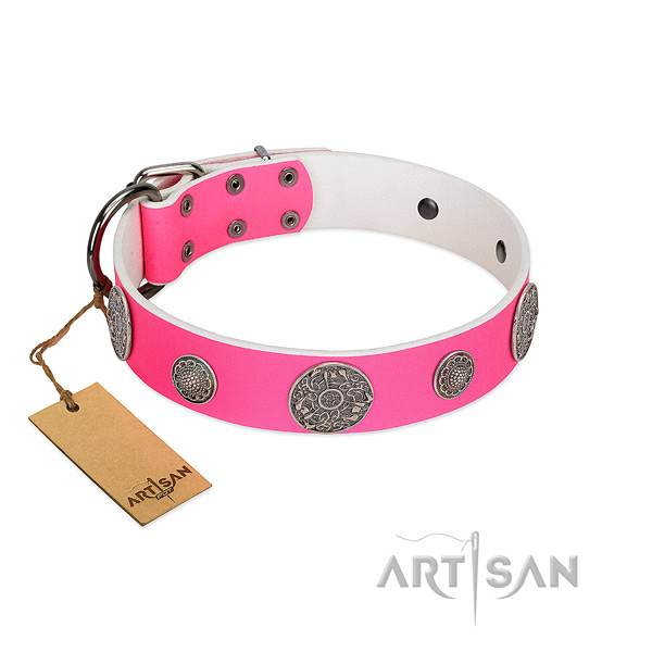 Remarkable adorned full grain natural leather dog collar