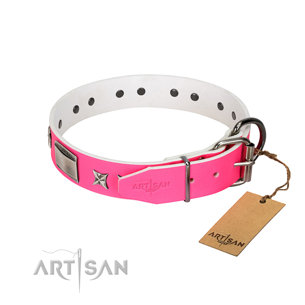 Adorned collar of full grain natural leather for your doggie