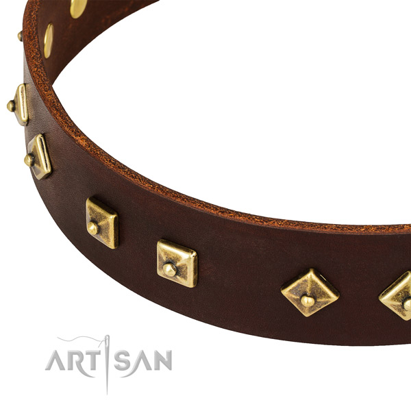 Stylish genuine leather collar for your attractive doggie