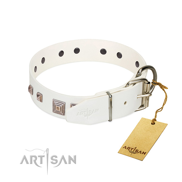 Exquisite collar of full grain natural leather for your handsome canine