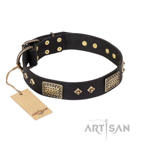 Easy wearing full grain leather dog collar for comfortable wearing