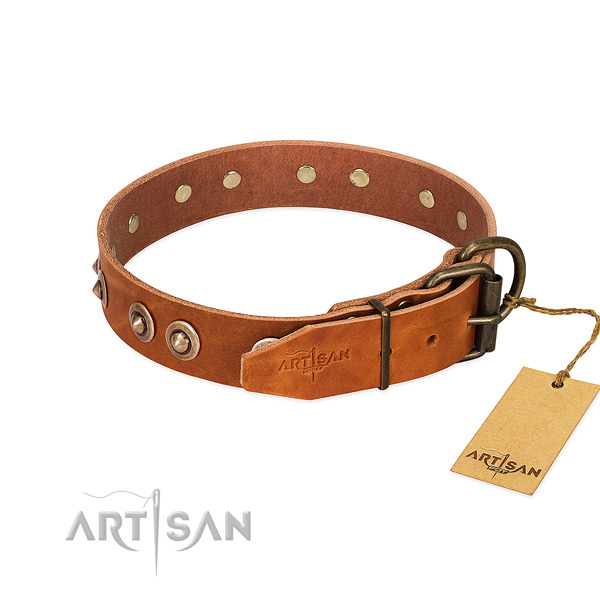 Corrosion resistant studs on genuine leather dog collar for your four-legged friend