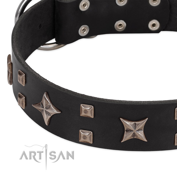 Durable D-ring on full grain natural leather collar for basic training your pet
