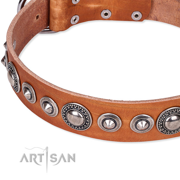 Everyday use adorned dog collar of finest quality full grain genuine leather
