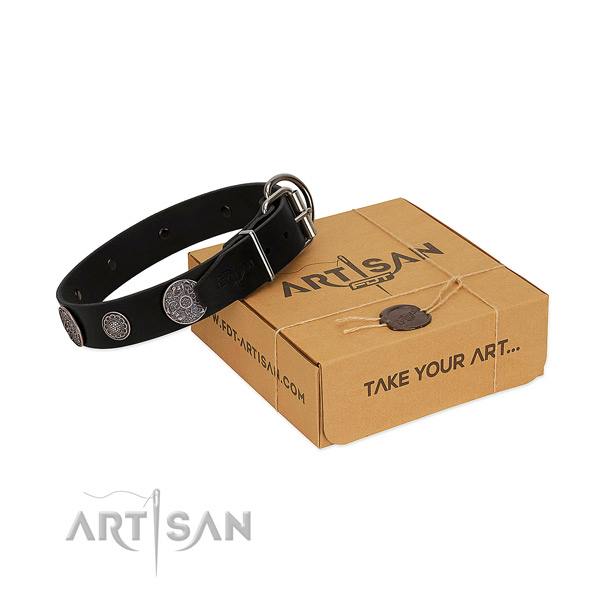 Everyday walking top notch genuine leather dog collar with studs