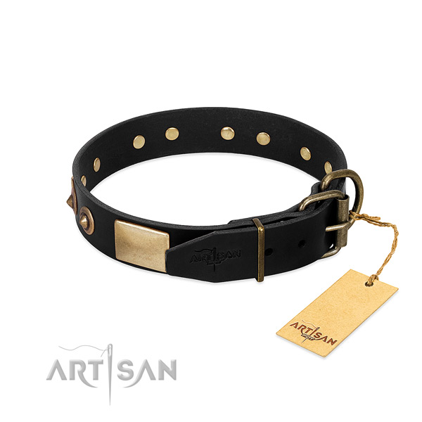 Corrosion resistant hardware on daily walking dog collar