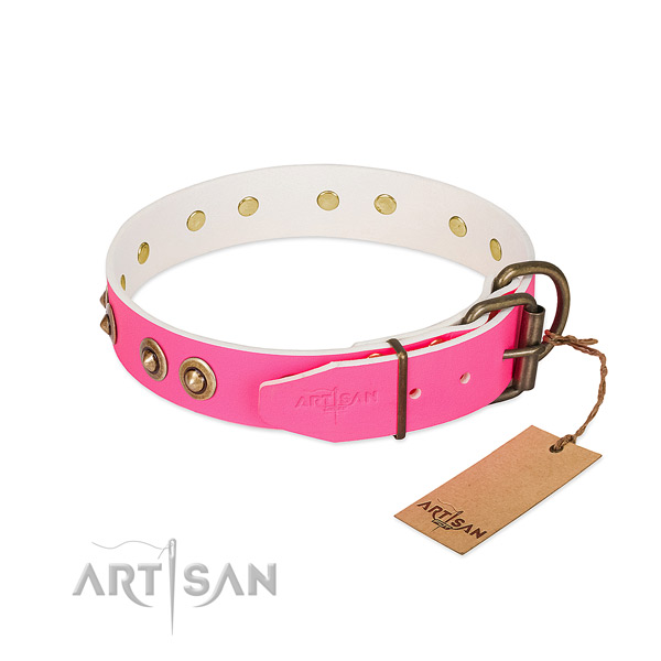 Full grain natural leather dog collar with corrosion resistant fittings and decorations