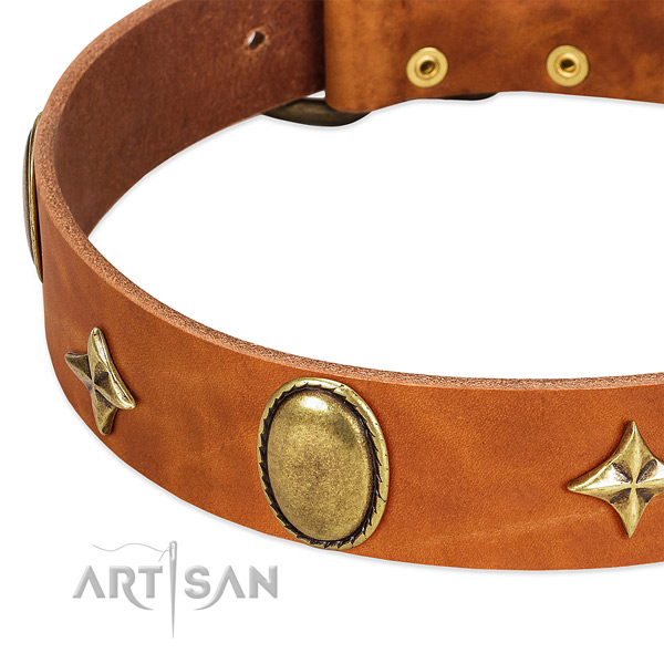 Soft full grain genuine leather dog collar with corrosion resistant hardware