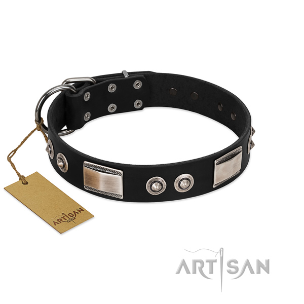 Stunning collar of full grain natural leather for your four-legged friend