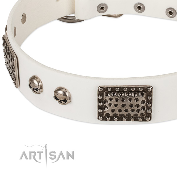 Rust-proof decorations on full grain leather dog collar for your canine