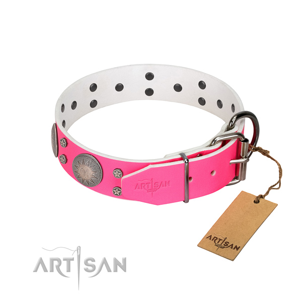 Top rate full grain genuine leather dog collar with adornments for your lovely four-legged friend