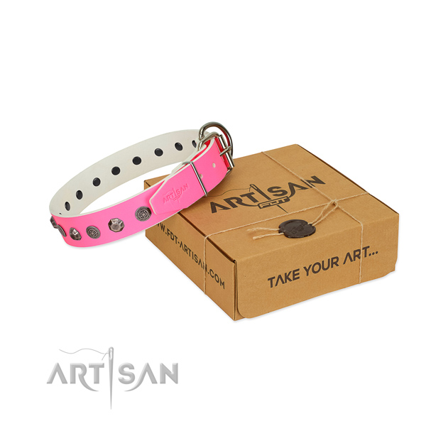 Incredible leather collar for your doggie daily walking