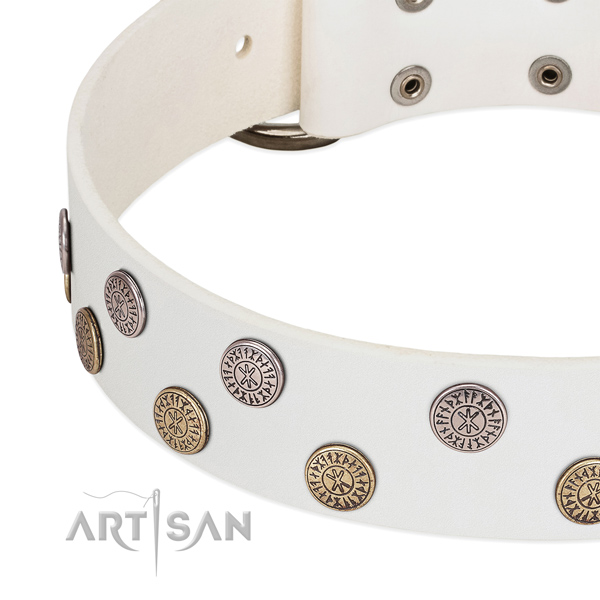 Stylish design leather collar for fancy walking your canine