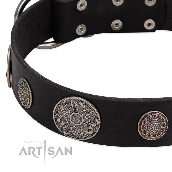 Corrosion proof fittings on leather dog collar