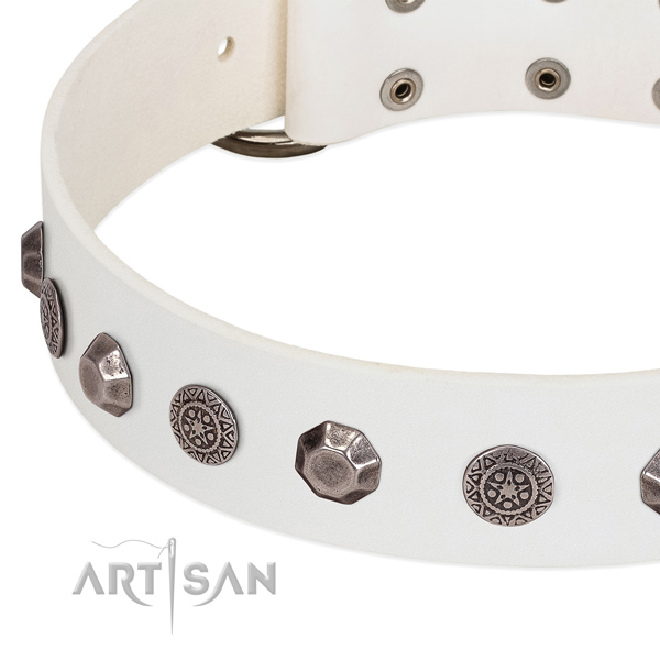 Inimitable genuine leather collar for your doggie everyday walking