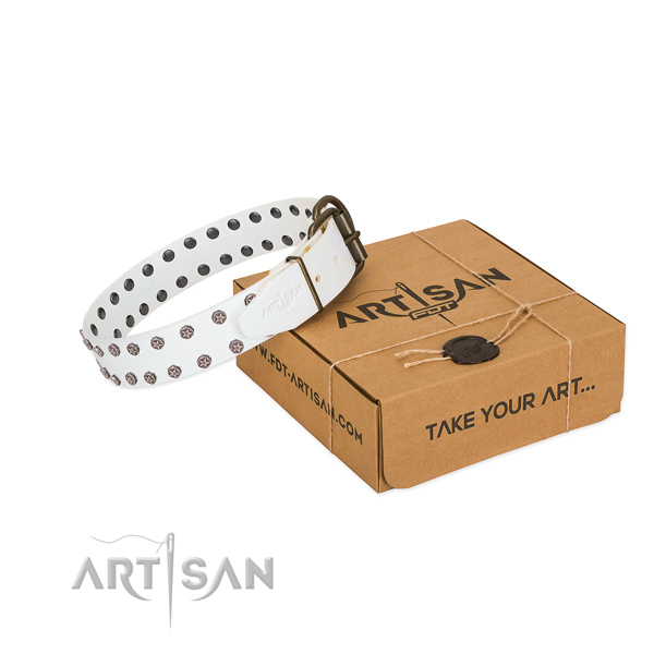 Soft leather dog collar with embellishments for your beautiful canine
