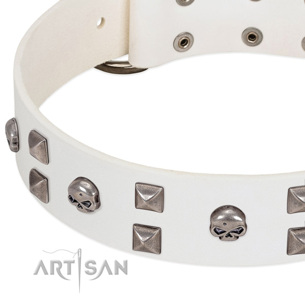 Strong natural leather dog collar made for your four-legged friend
