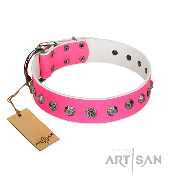 Full grain natural leather dog collar of quality material with trendy adornments