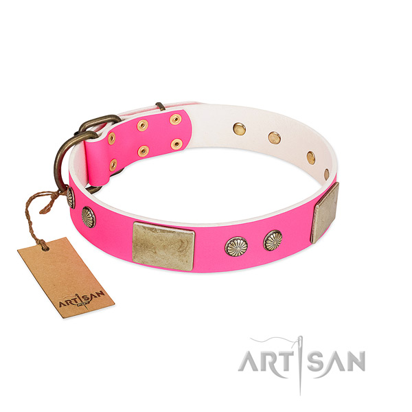 Adjustable leather dog collar for stylish walking your dog