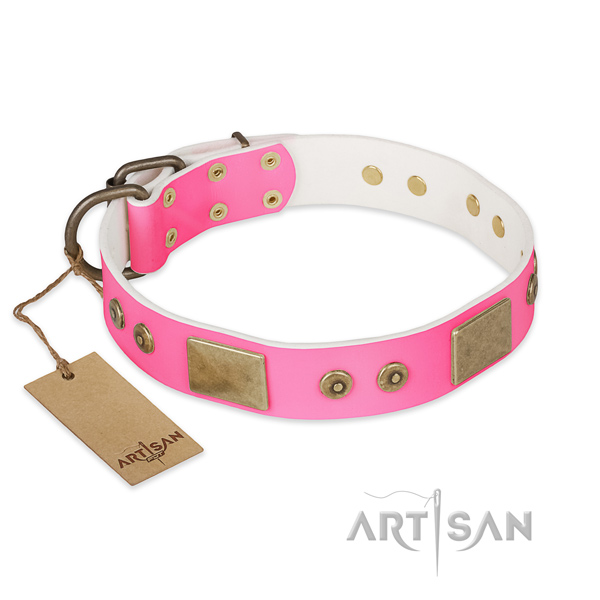 Easy to adjust genuine leather dog collar for stylish walking your four-legged friend