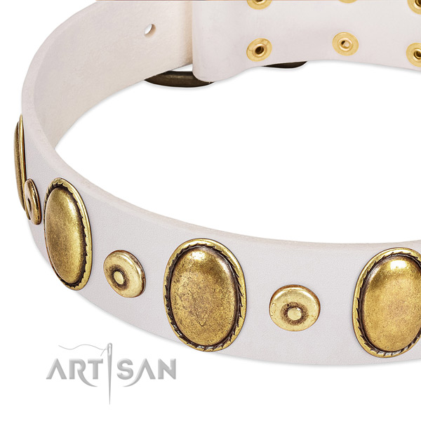 Strong genuine leather collar handmade for your dog