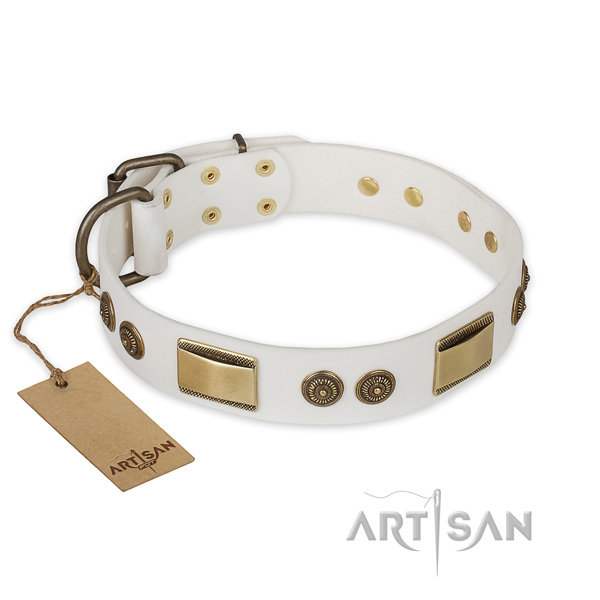 Easy wearing full grain leather dog collar for basic training