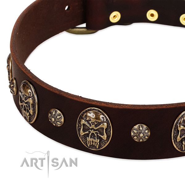 Corrosion proof D-ring on genuine leather dog collar for your pet