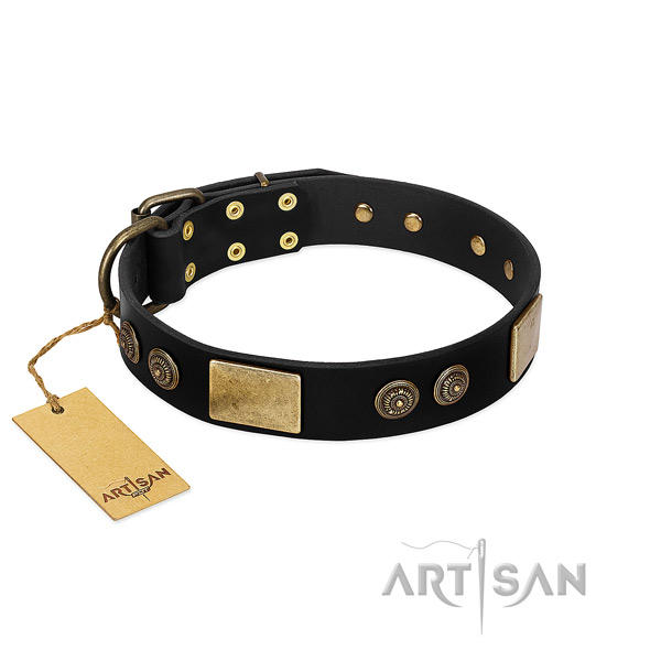 Corrosion proof fittings on full grain natural leather dog collar for your four-legged friend