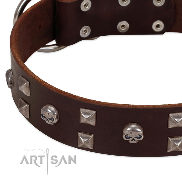 Gentle to touch full grain genuine leather dog collar crafted for your doggie