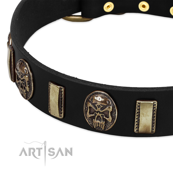 Corrosion resistant studs on genuine leather dog collar for your dog