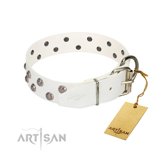 Corrosion proof fittings on studded full grain genuine leather dog collar