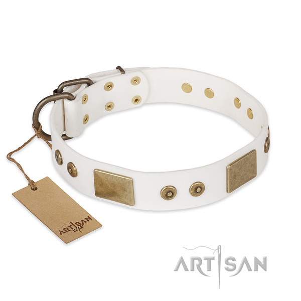 Handcrafted full grain leather dog collar for daily walking