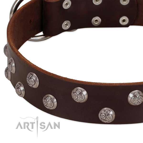 Genuine leather dog collar with corrosion resistant buckle and embellishments