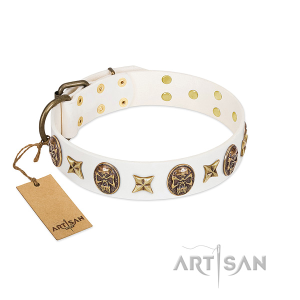 Significant full grain leather dog collar for stylish walking