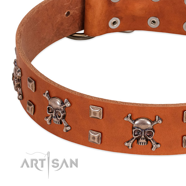 Easy wearing leather collar for your four-legged friend