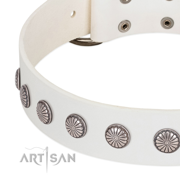 Quality full grain natural leather dog collar with studs for comfortable wearing