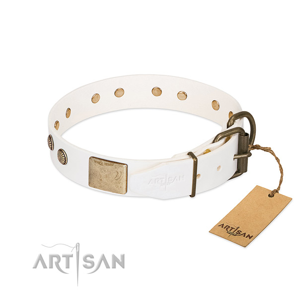Durable fittings on everyday use dog collar
