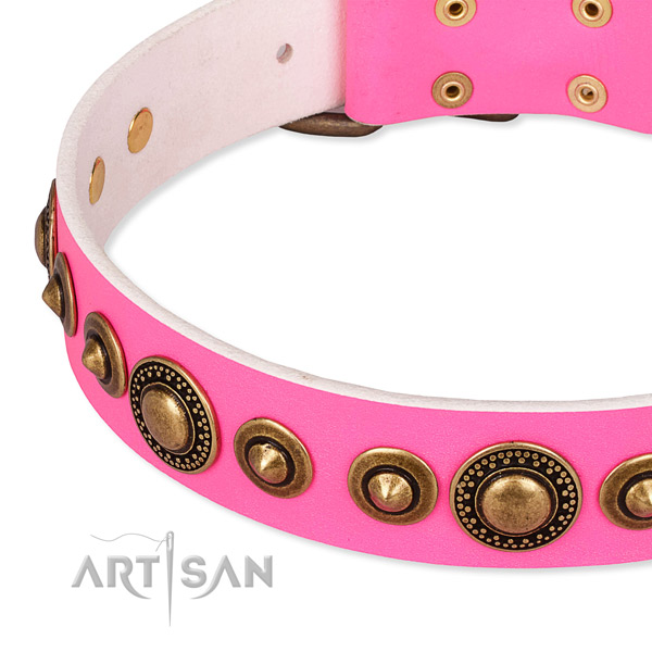 Soft full grain leather dog collar crafted for your beautiful pet